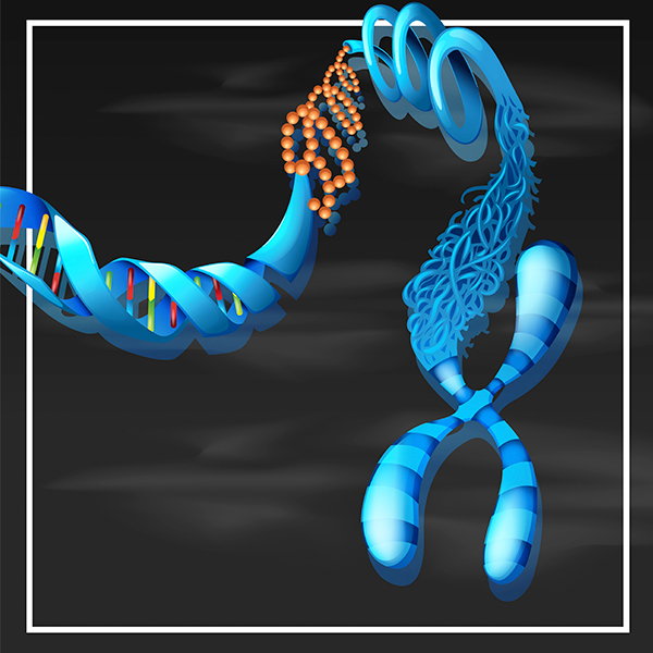 Técnicas para la detección de ADN, ARN y proteínas